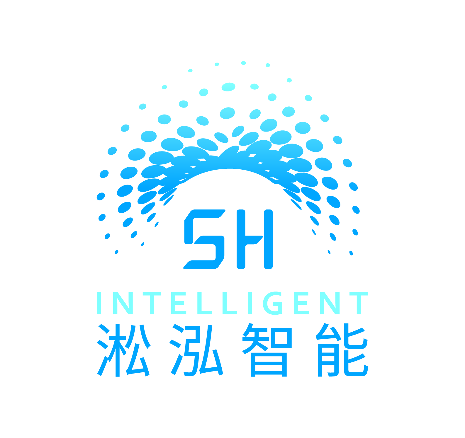 上海淞泓智能汽车科技有限公司